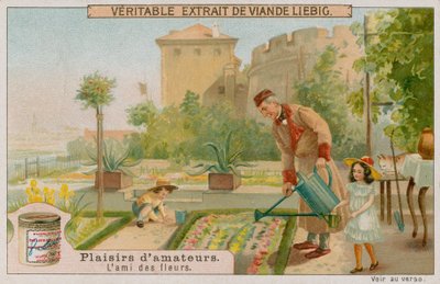 Il giardiniere dilettante da European School