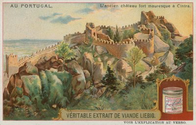 Il Castello dei Mori a Sintra da European School
