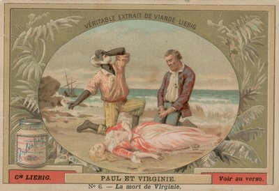 La morte di Virginie da European School