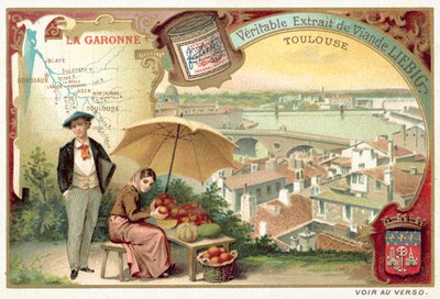 La Garonna e una veduta di Tolosa da European School