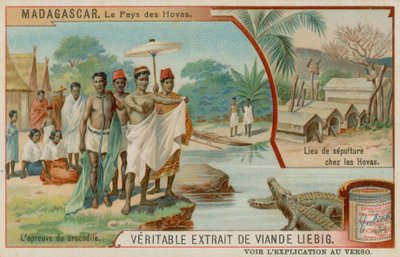 La Terra degli Hova: La Prova del Coccodrillo e il Luogo di Sepoltura degli Hova da European School