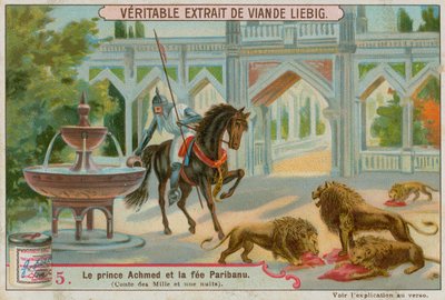 La sorgente del leone da European School