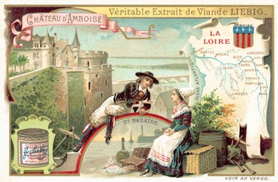 La Loira e una vista del Castello di Amboise da European School
