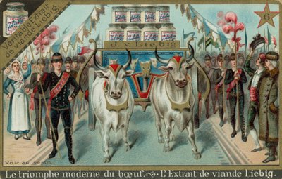 Il trionfo moderno della carne bovina da European School