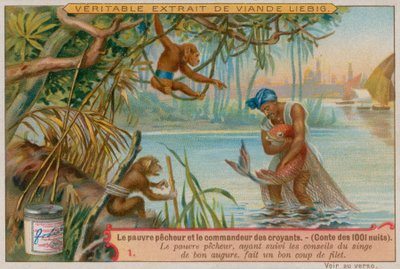 Il povero pescatore ottiene una buona pesca da European School