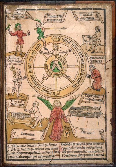 La Ruota della Fortuna, da 