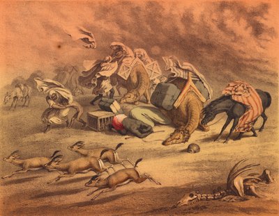 Il grande deserto africano da European School