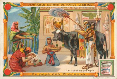 Il sacro toro Apis, carta Liebig, inizio XX secolo da European School