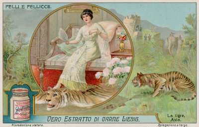 La tigre da European School
