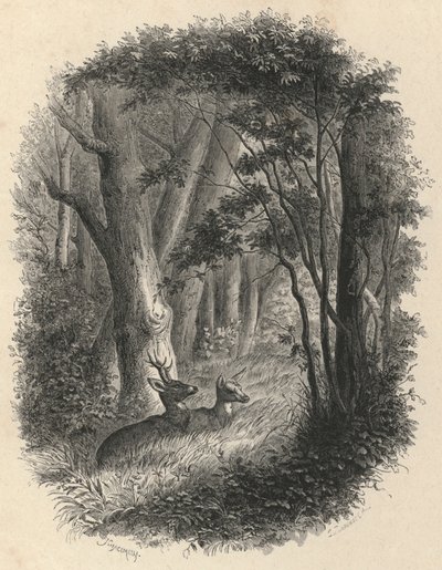 Un angolo della foresta di Fontainebleau da European School