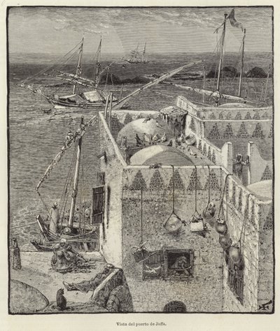 Vista del porto di Giaffa da European School