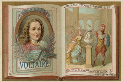 Voltaire da European School