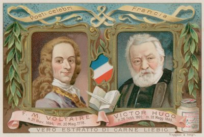Voltaire e Hugo da European School