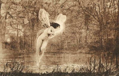 Ninfa dell