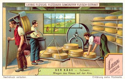 Pesatura dei formaggi svizzeri in una latteria alpina da European School