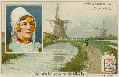 Zelande da European School