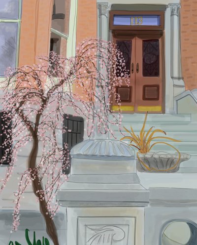 Ciliegio in fiore, Brooklyn, 2017 (disegnato a mano su un iPad con una matita Apple) da Evan Sklar