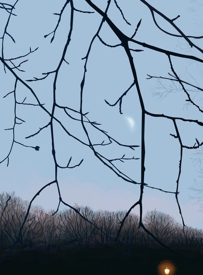 Rami, alba, Prospect Park (arte digitale) da Evan Sklar