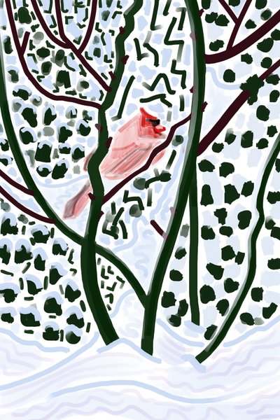 Cardinale nella neve (arte digitale) da Evan Sklar