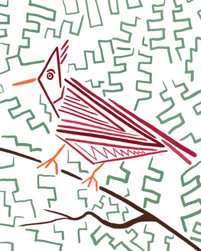 Cardinale, 2020-24 circa (arte digitale) da Evan Sklar