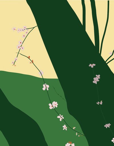 Fiori di ciliegio, 2015 (disegnato a mano su iPad con una matita Apple) da Evan Sklar