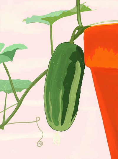 Cetriolo in vaso, Brooklyn (arte digitale) da Evan Sklar