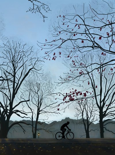 Ciclista, mattina, Prospect Park (arte digitale) da Evan Sklar