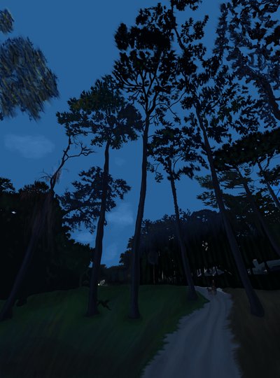 Passeggiata con il cane al tramonto (arte digitale) da Evan Sklar