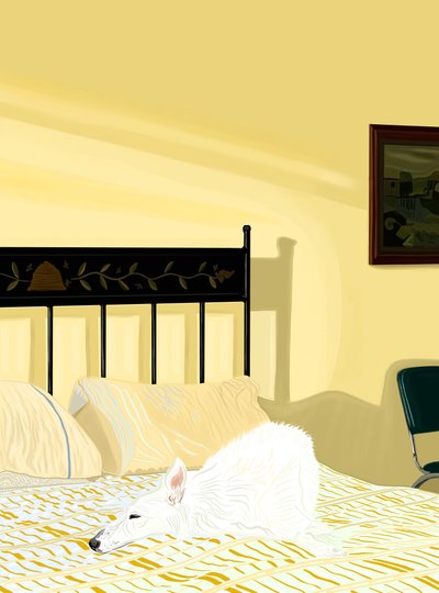 Cane che riposa sul letto, c.2020-24 (arte digitale) da Evan Sklar