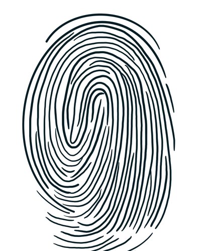 Disegno di un