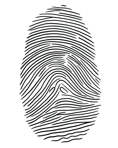 Disegno di un