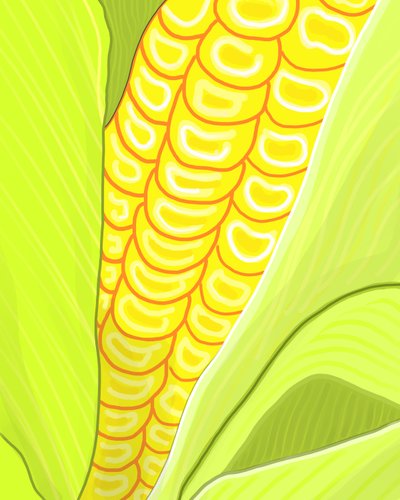 Spiga di grano (arte digitale) da Evan Sklar