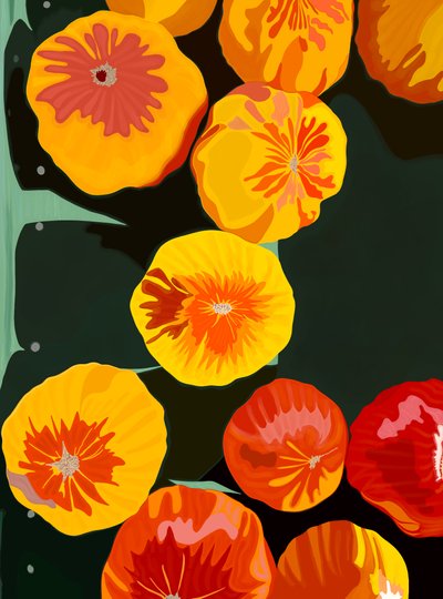 Undici pomodori al mercato di Brooklyn (arte digitale) da Evan Sklar