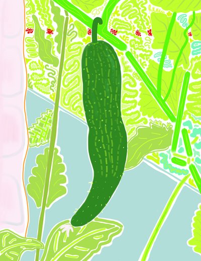 Primo cetriolo (arte digitale) da Evan Sklar