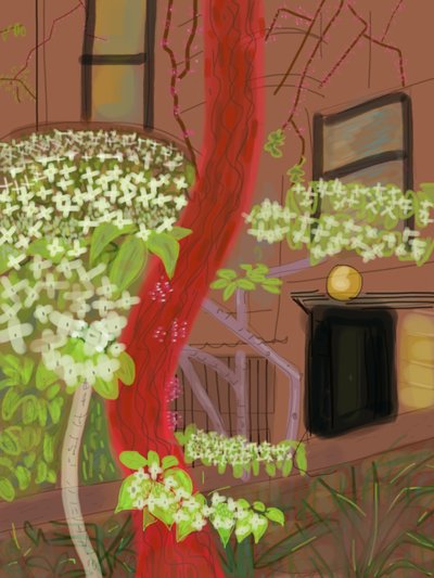 Alberi di corniolo in fiore, 2015 (disegnato a mano su iPad con una matita Apple) da Evan Sklar