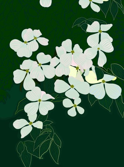 Corniolo in fiore, 2020-24 circa (arte digitale) da Evan Sklar