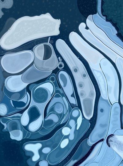 Pozzanghera ghiacciata e naso di cane (arte digitale) da Evan Sklar