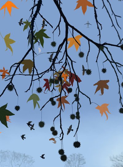Albero di gomma, uccelli e luna, Brooklyn (arte digitale) da Evan Sklar