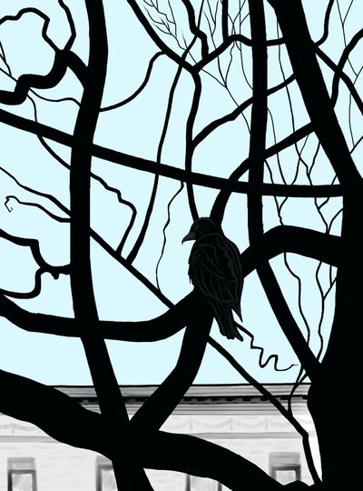 Falco su un ramo in città (arte digitale) da Evan Sklar