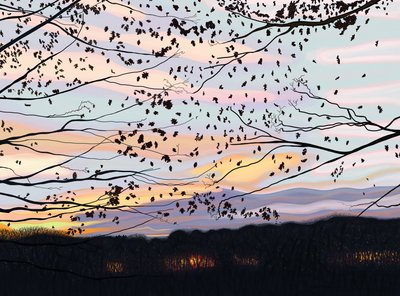 Hawk On Branch, prospect park (arte digitale) da Evan Sklar
