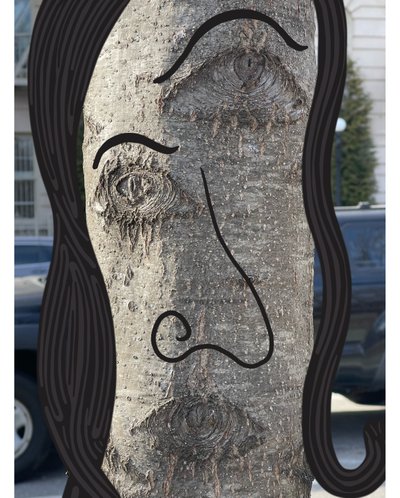 Illustrazione del volto di un albero utilizzando la fotografia e il disegno di Brooklyn (arte digitale) da Evan Sklar