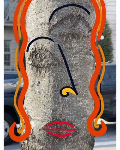 Illustrazione del volto di un albero utilizzando la fotografia e il disegno di Brooklyn (arte digitale) da Evan Sklar