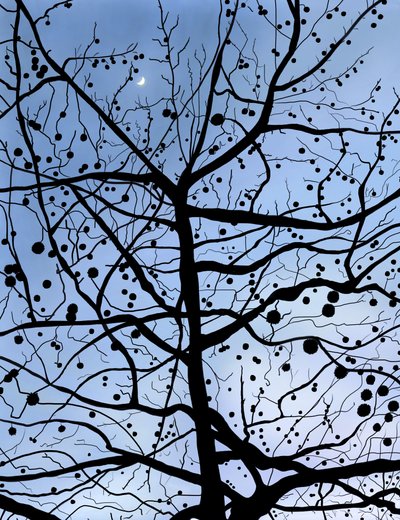 PlaneTree e Luna di Londra, Brooklyn (arte digitale) da Evan Sklar