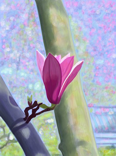 Magnolia Blossom (digital art) da Evan Sklar