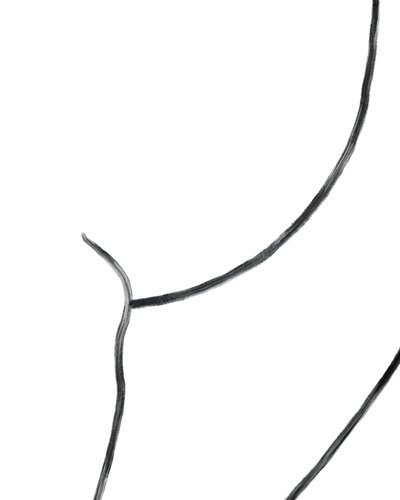 Nudo. (arte digitale) da Evan Sklar