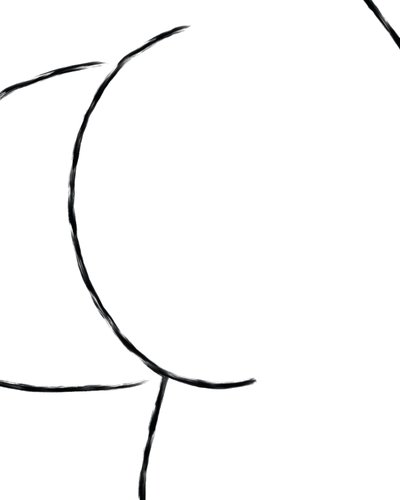Nudo. (arte digitale) da Evan Sklar