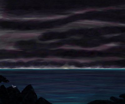 Oceano e cielo con uccelli di notte da Evan Sklar