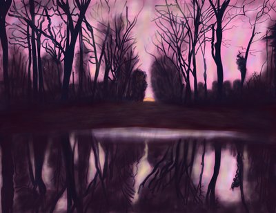 Stagno nel parco da Evan Sklar