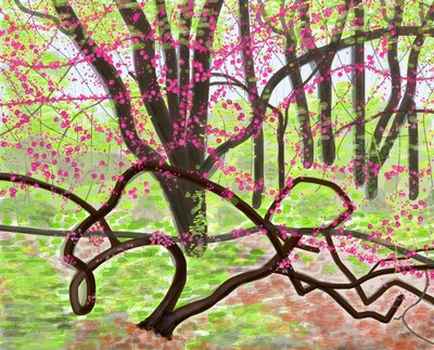 Prospect Park, primavera, 2017 (disegnato a mano su un iPad con una matita Apple) da Evan Sklar