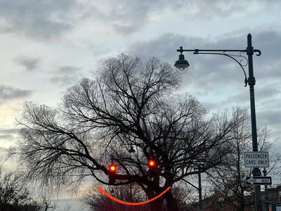 Albero sorridente e semafori. Brooklyn (arte digitale) da Evan Sklar